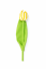 Ručně šitý tulipán