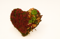 Srdce z mechu Podzimní harmonie